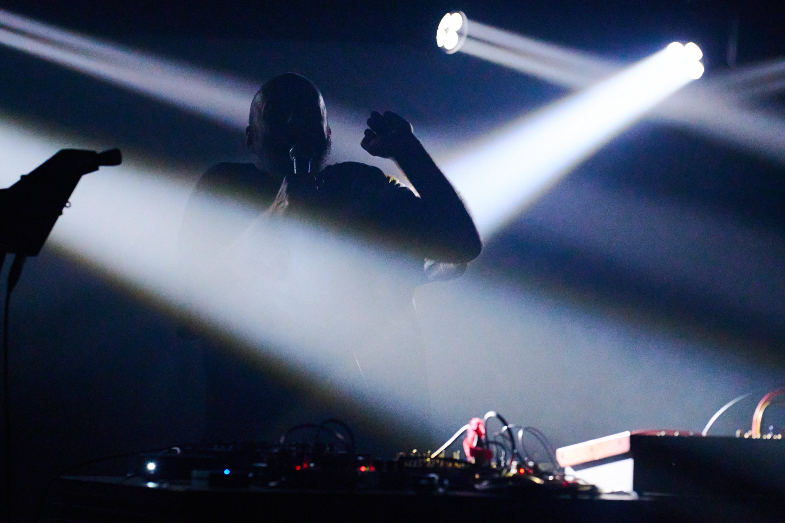 2024 09 13 Auditiver Cortex 0969